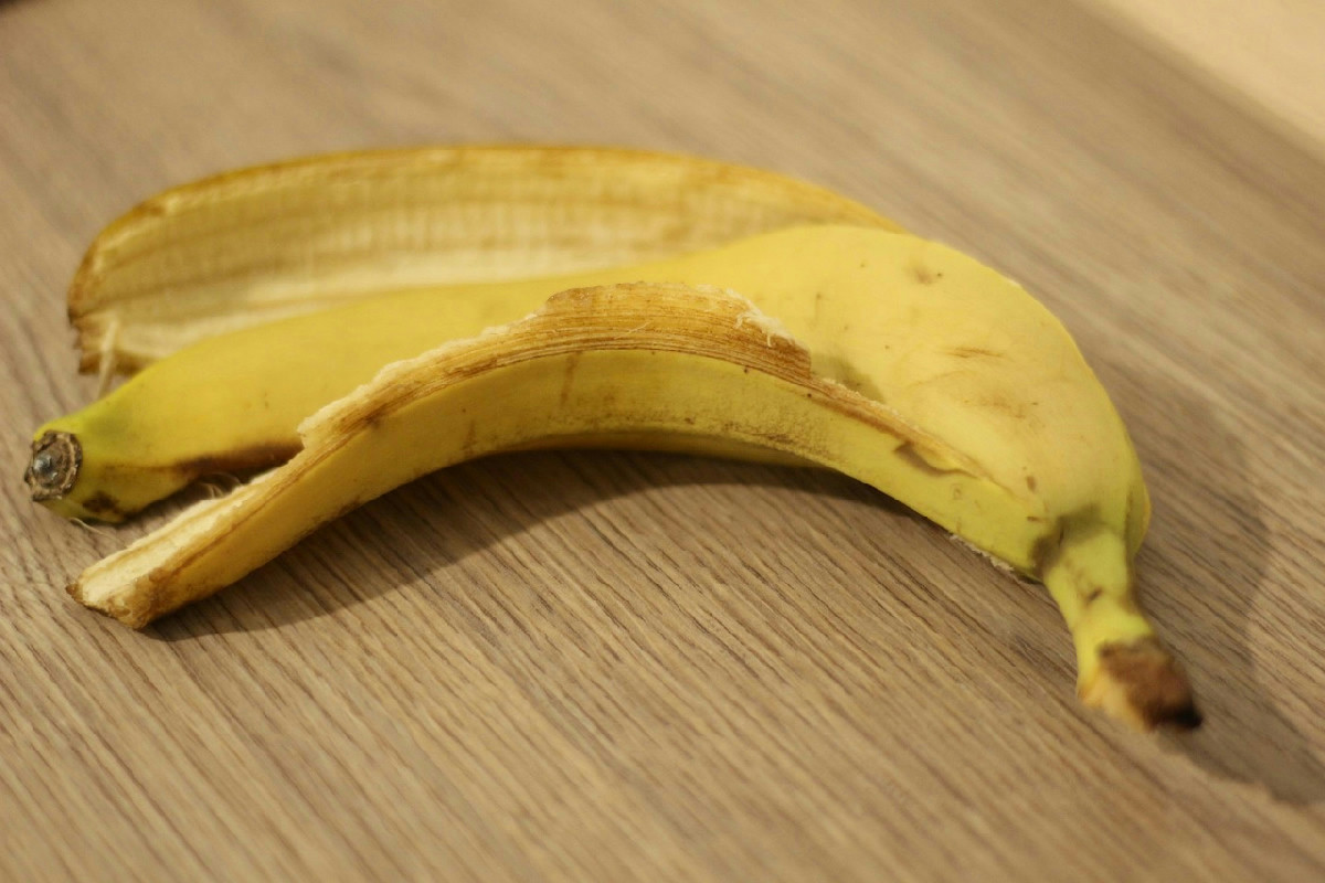 Banana nel terreno: effetti inaspettati sui vasi dopo una settimana di esposizione