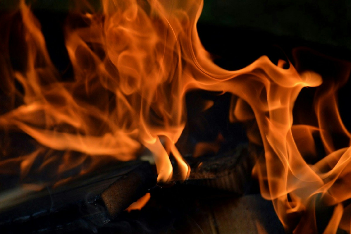 Benefici e rischi nel bruciare foglie di alloro in casa per il benessere quotidiano